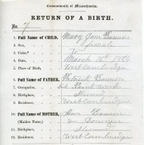 Certificate, Birth