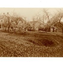 Theodore Schwamb House