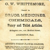 Back, advertising Austen