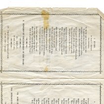 Program, Testimonial