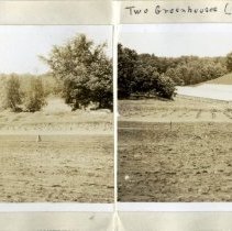 Old Piggery and Two Greenhouses