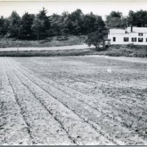 Gately house, demolished in 1939 (Crosby Farm)