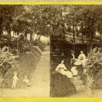Stereoview