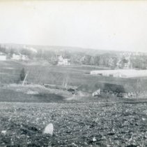 Crosby farm greenhouses