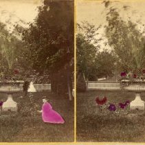 Potter's Grove: On the Lawn