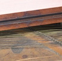 Detail - Close up on strings