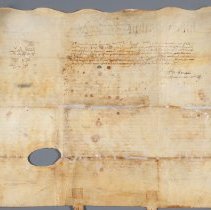 Back: After treatment, normal illumination