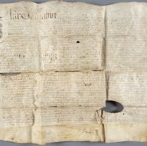 Front: Before treatment, normal illumination