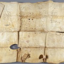 Back: Before treatment, normal illumination