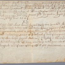 Front: After treatment, normal illumination