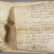 Back/Left, folded: Before treatment, normal illumination