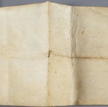 Back: Before treatment, normal illumination