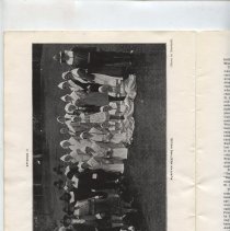 A Panorama of Arlington's Tercentenary