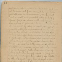 Margret Pratt's Diary