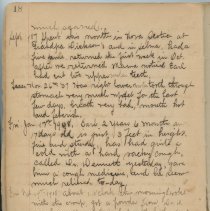 Margret Pratt's Diary