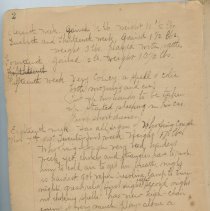 Margret Pratt's Diary