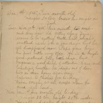 Margret Pratt's Diary