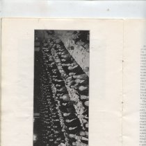 A Panorama of Arlington's Tercentenary