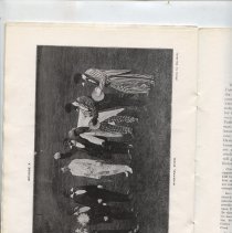 A Panorama of Arlington's Tercentenary