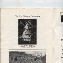 A Panorama of Arlington's Tercentenary