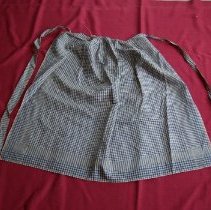 Blue and White Checked Silk Apron