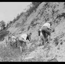 Geology Students Looking for Specimens