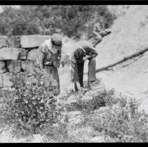 Geology Students Looking for Specimens