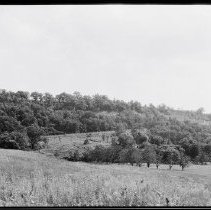 Niagara Falls - Escarpment