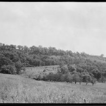 Niagara Falls - Escarpment