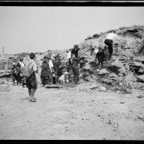 Buffalo Society of Natural Sciences Nature Club Field Trip - Rocky Embankment