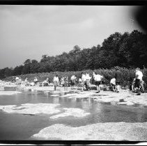 Buffalo Society of Natural Sciences Nature Club Field Trip - Stream and Footbridge