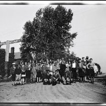 Buffalo Society of Natural Sciences Nature Club Field Trip - Railroad Crossing