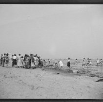 Buffalo Society of Natural Sciences Nature Club Field Trip - Lake Erie Shoreline