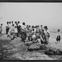 Buffalo Society of Natural Sciences Nature Club Field Trip - Lake Erie Shoreline