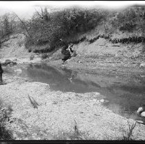 Buffalo Society of Natural Sciences Nature Club Field Trip - Shallow Creek