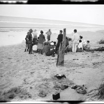 Buffalo Society of Natural Sciences Nature Club Field Trip - Lake Erie Shoreline