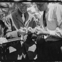Buffalo Society of Natural Sciences Nature Club Field Trip - Bird Observation