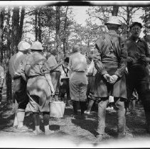 Buffalo Society of Natural Sciences Nature Club Field Trip - Wooded Area