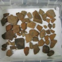 Sherd