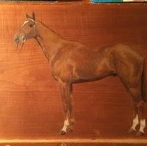 Fellah_after_raking_light