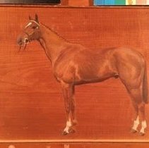 Fellah_before_normal_light