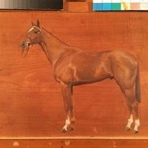 Fellah_during_normal_light