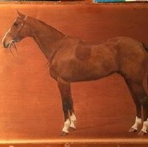 Baladeur_after_raking_light