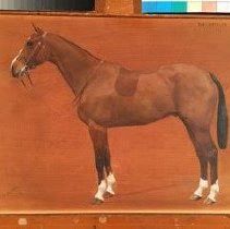 Baladeur_after_treatment