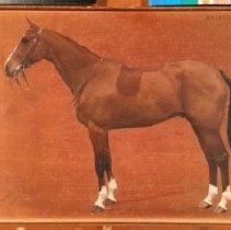 Baladeur_before_normal_light