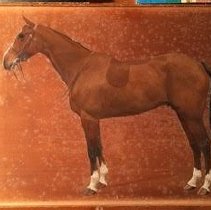 Baladeur_before_raking_light