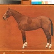 Baladeur_during_normal_light