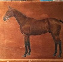 Hydravion_after_raking_light