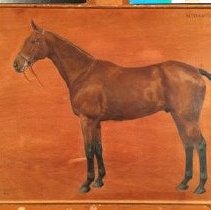 Hydravion_after_treatment