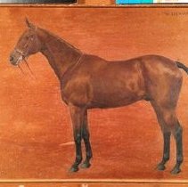 Hydravion_before_normal_light